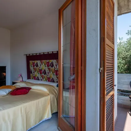 Cozy In Stegidio Vibrata