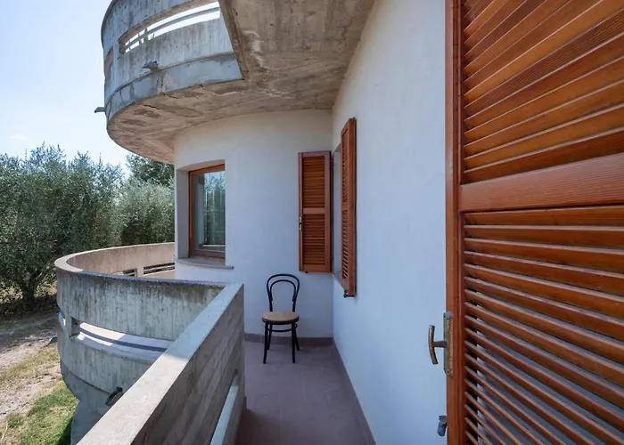 Cozy In Stegidio Vibrata *