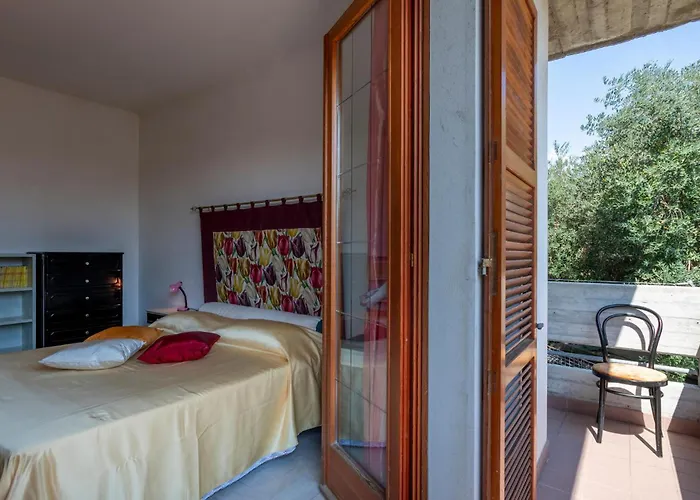 Cozy In Stegidio Vibrata