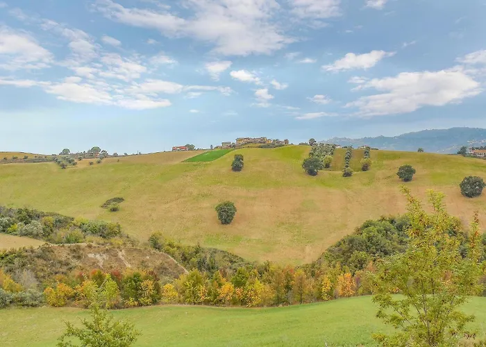 Cozy In Stegidio Vibrata